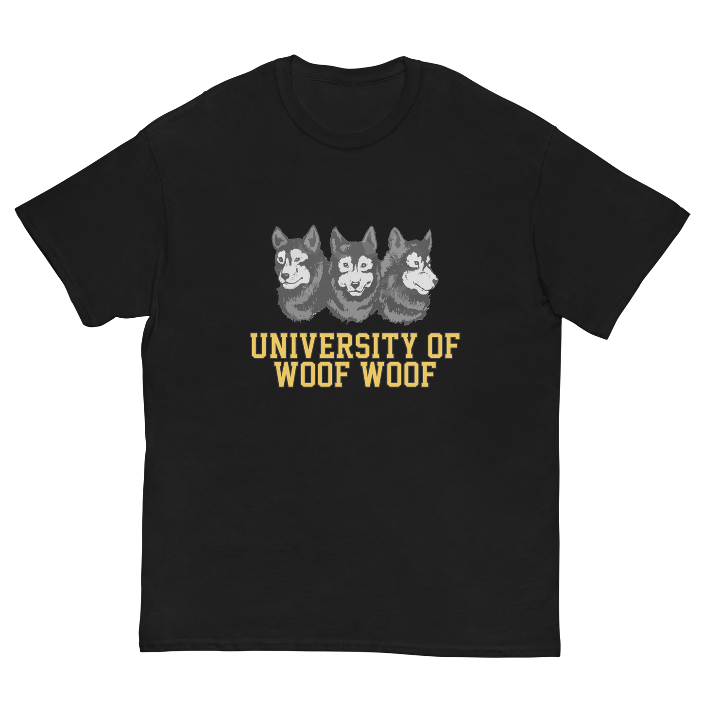 UNIVERSITY T-SHIRT